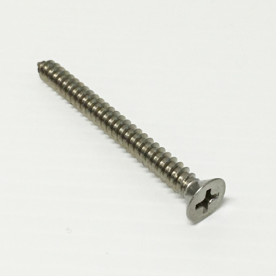 STAINLESS STEEL SCREW | 10G x 25mm SS304 BOX 200
