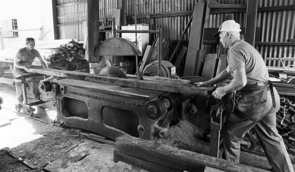 Ripping Saw Bench in action circa 1970